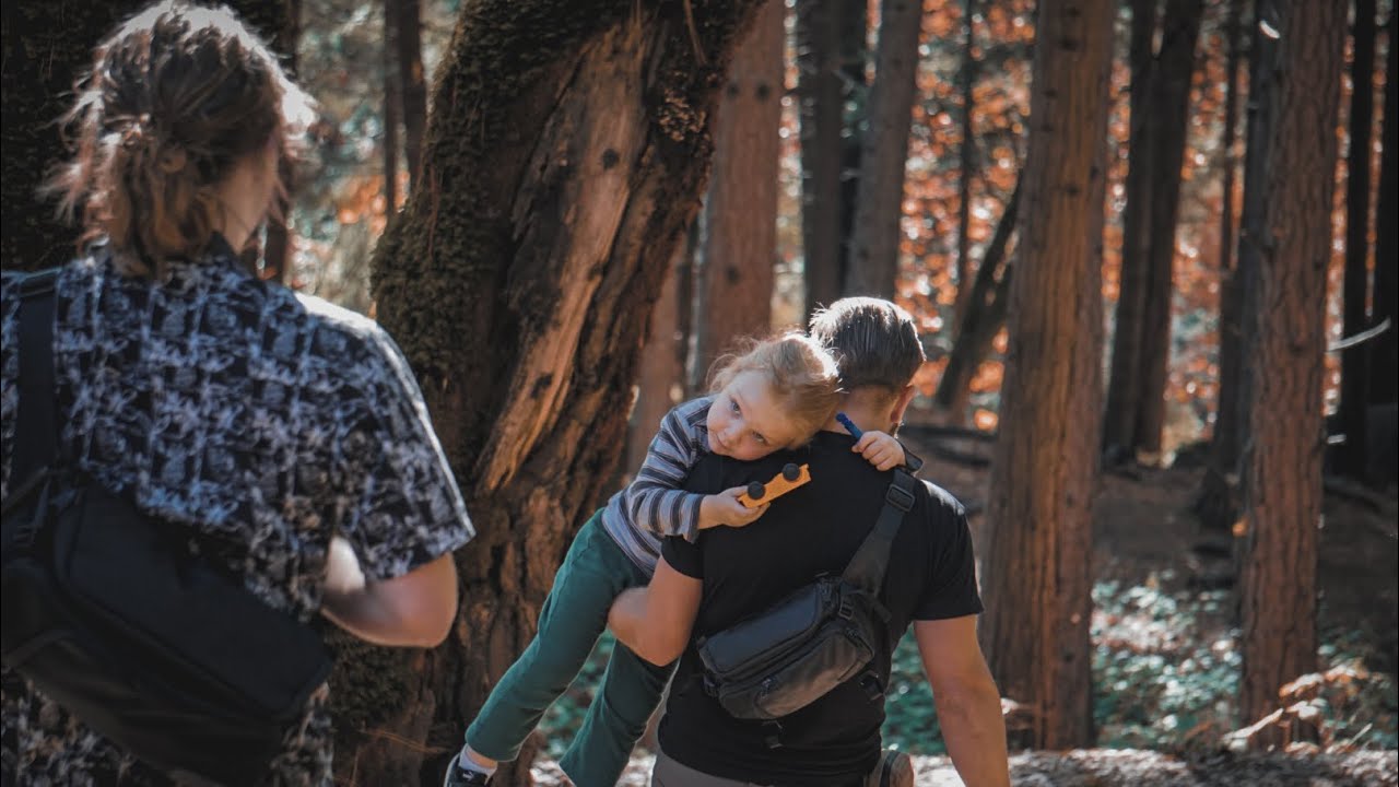 Autumn Photography in Nevada City | Fall Colors and Mushrooms | Deer Creek Tribute Trail