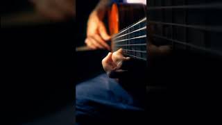 Virtue (part 4) #jessecook #flamenco #rumba #acousticguitar #beautiful #sologuitar