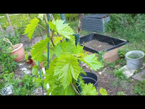 garten-mal-anders-erleben