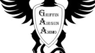 Griffin 177 slugs VS Meat Target