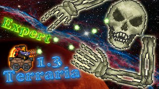 Terraria 1.3 (Expert) Скелетрон (Skeletron)