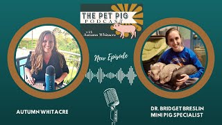 Piggy Tales with Dr. Bridget Breslin: A Vet's Journey into Mini Pig Marvels by Autumn Acres Mini Pet Pigs 55 views 4 months ago 1 hour, 18 minutes