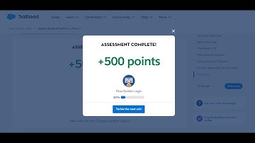 Define Multiple Paths in a Flow in Flow Builder Logic | Salesforce