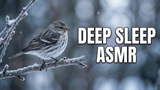 Ultimate Circle Time ASMR for Deep Sleep 💤 (anticipatory + unpredictable ode to Heather Feather)