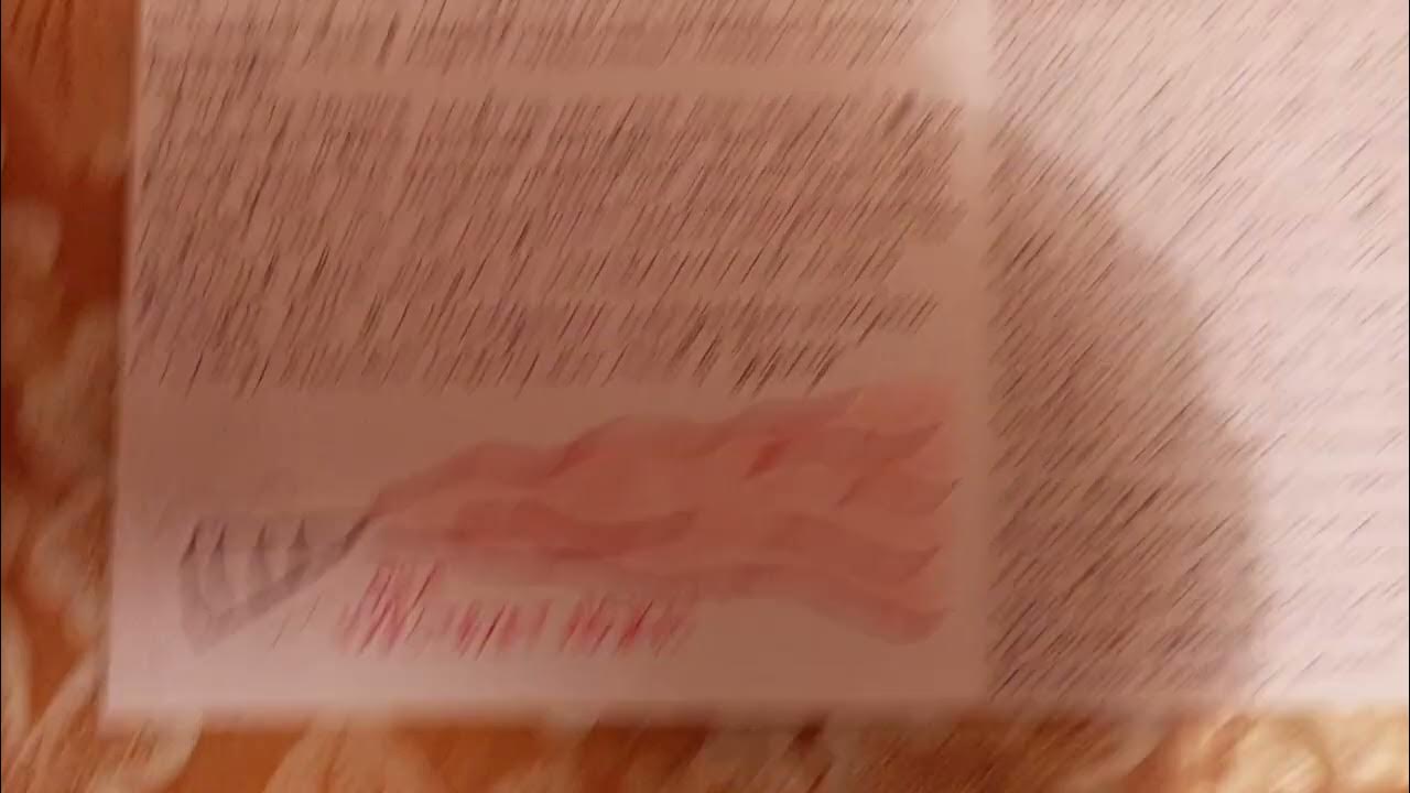 дневник номер 1 разворот 33 - YouTube