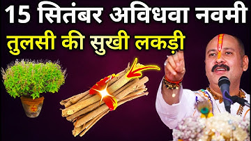 15 सितंबर सोमवार पितृपक्ष अविधवा नवमी  तुलसी की सुखी लकड़ी वाला उपाय जरूर करें | Pradeep Ji Mishra