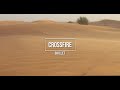 Crossfire Skillet Lyric Video Fanmade 