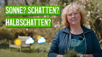 Wie viel Sonne ist Halbschatten?