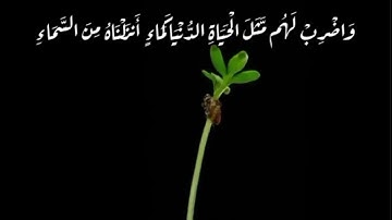 {واضرب لهم مثل الحياة الدنيا كماء أنزلناه من السماء } سورة الكهف بصوت القارئ مشاري البغلي