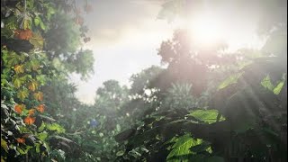 Killing All Firefly's on The Top Floor With The Assault Rifle Only | The Last of Us
