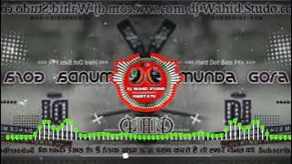 Munda gora rang || ( Hindi Hits song ) Hard Dot Bass.Mix Dj wahid sound hariyath basti darbhanga....
