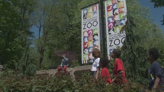 Smithsonian National Zoo hosts annual Easter Monday egg hunt | The Night Cap
