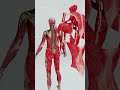 The Human Back | Built for Strength and Control