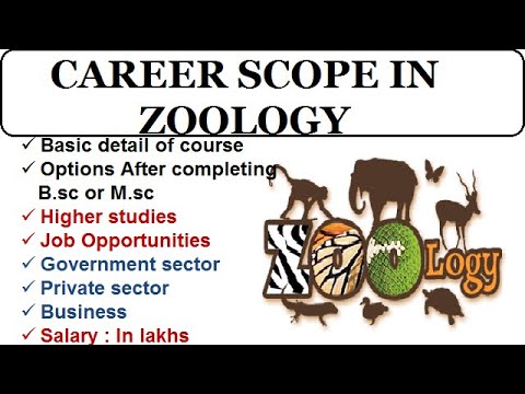 jobs after phd zoology