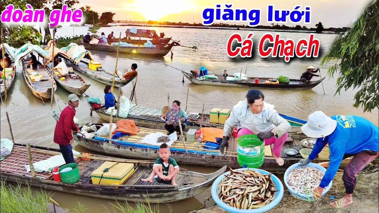 Sóng Dữ nổi lên
