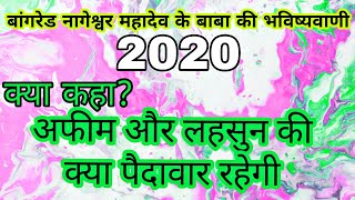 बांगरेड_Nageshwar_mahadev के बाबा की भविष्यवाणी 2020 || क्या कहा अफीम,बरसात और लहसुन के बारे में