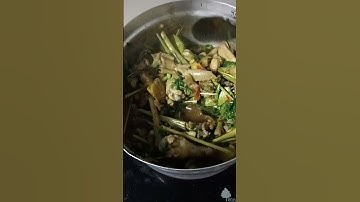 mho noj no qaib ncu os