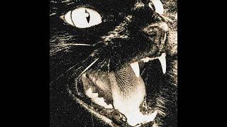 [FREE FOR PROFIT] (SWITCH) DRAKE X ICEMAN TYPE BEAT - "FELINE" | TRAP BEAT INSTRUMENTAL 2026