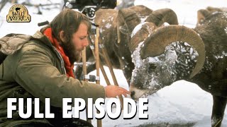 Wild America | Special E2 'Our Favorite Animals' | Full Episode | FANGS