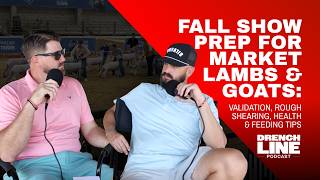 Fall Show Prep for Market Lambs & Goats: Validation, Rough Shearing, Health & Feeding Tips