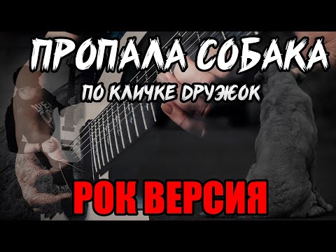 Пропала собака РОК