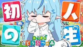 雪花ラミィの配信のサムネイル画像
