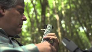 Béla Fleck & Abigail Washburn | New South Africa chords