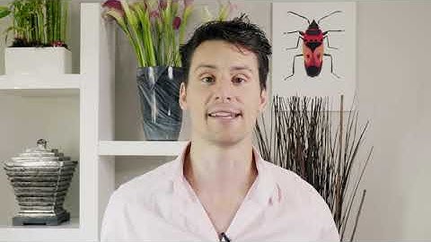 tidyr for Pivoting and Tidy Data (STAT 545 Episode 8-A)