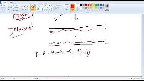 DNA REPLICATION-Primase and RNase H