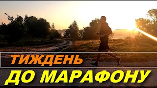 Тиждень до Марафону! Сбавляємо оберти, пара обнов,а далі чекайте відео з марафону.