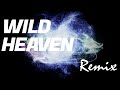 【リミックス】TM Network | Wild Heaven