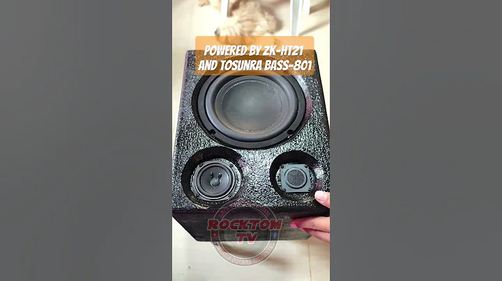 DIY SOUND BOX POWERED BY ZK-HT21 and Tosunra Bass-801 #shorts #youtubeshort