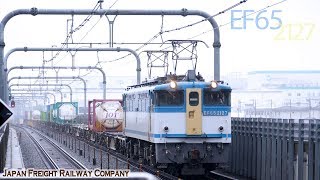【貨物列車 EF65 2127】1091レ 4097レEF65 2127 + コキ 隅田川から千葉貨物へ 水も滴るカラシ