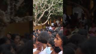 යට සෙට් එක cupiri නේ #srilanka #dance #trending #music #tiktok #child