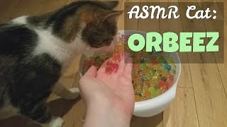 ASMR Cat: Fake Orbeez & Water Sounds (Some Rain Too!) [LoFi / No Talking] by ASMR Cat Sounds 2,918 views 7 years ago 13 minutes, 6 seconds