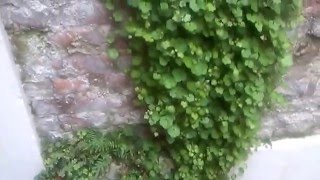 WP 20160414 001