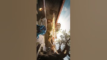 Mythic DLQ33 Lotus Flames #codm #callofduty #codmobile #warzone #shorts #ytshorts #shortvideo #viral