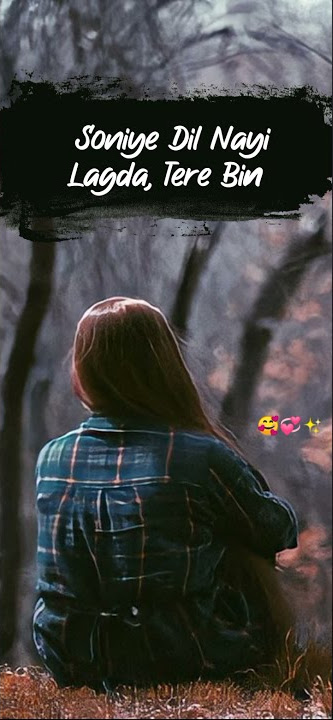 Soniye Dil Nayi Song || Baaghi 2 ||  Ankit Tiwari, Shruti Pathak | 4K Full Screen | WhatsApp Status