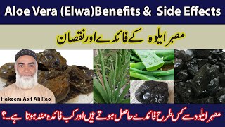 | Aloe Vera | Elwa Benefits And Side Effects |Musabbar Elwa ke Faidy Aur Nuqsaan