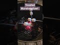 Best Way To Eat Marshmallows ЁЯШЛ Shorts Toasted Marshmallow Bbq Nightsnack Best Way To Eat Marshmallows ЁЯШЛ Shorts Toasted Marshmallow Bbq Nightsnack