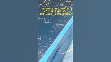 Tại sao loại mực này lại có hương vị khác biệt – mực khô câu xứ Nẫu