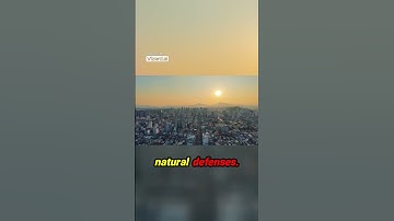 Texas Is Facing Fire AND Flood Here’s Why