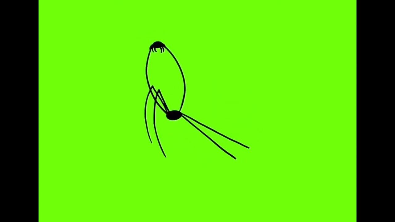 But The Kid Is Not My Son Meme Green Screen YouTube but-the-kid-is-not-my-son-meme-green-screen-youtube