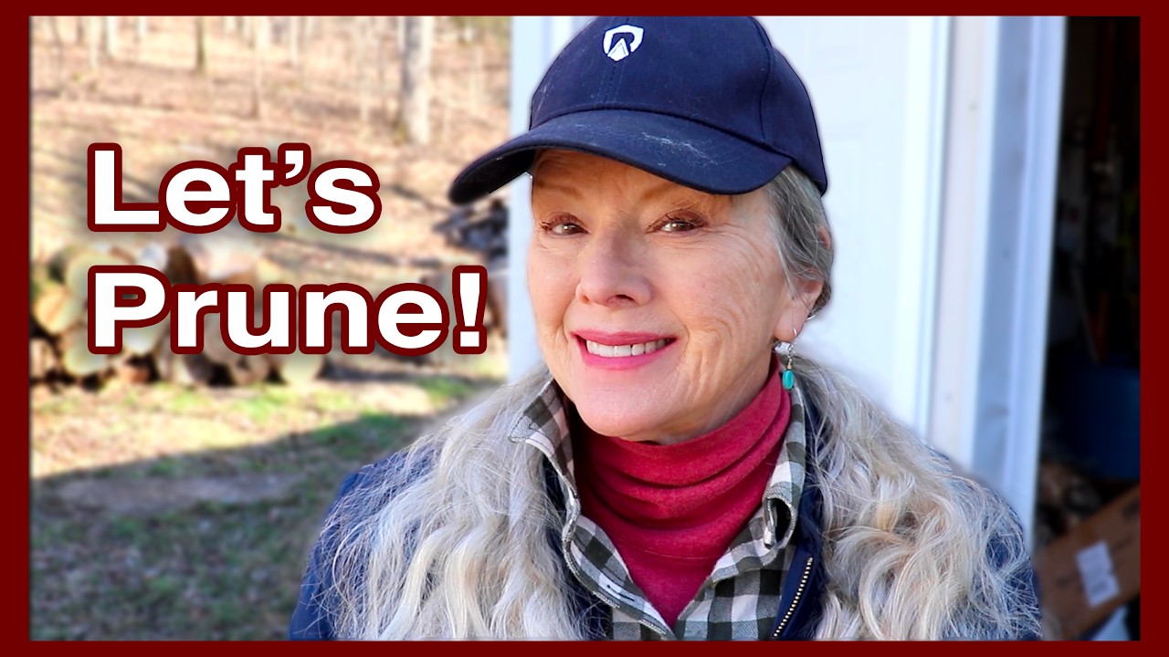 #Обрезка плодовых деревьев. Часть 1 (наконец-то делаем это правильно!)