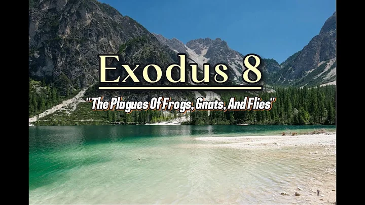 Exodus 8: "The Plagues of Frogs, Gnats, and Flies"