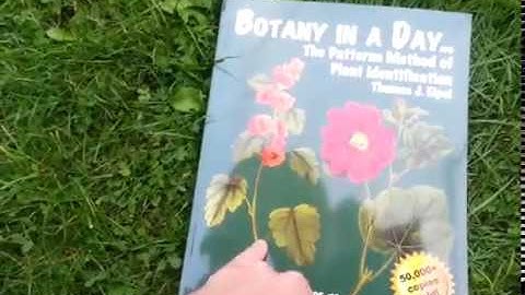 Botany in a Day by Thomas J Elpel