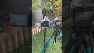 SonyM4 vs sonyA6400 portrait photography test 📸🔥 #camera #mirrorless #viral #photography #trending