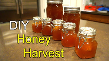 TopBar bee hive honey harvest - first time How to