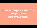 Как воспринимается мир после пробуждения