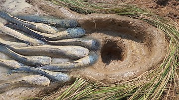 Primitive technology - Making trap to catch catfish